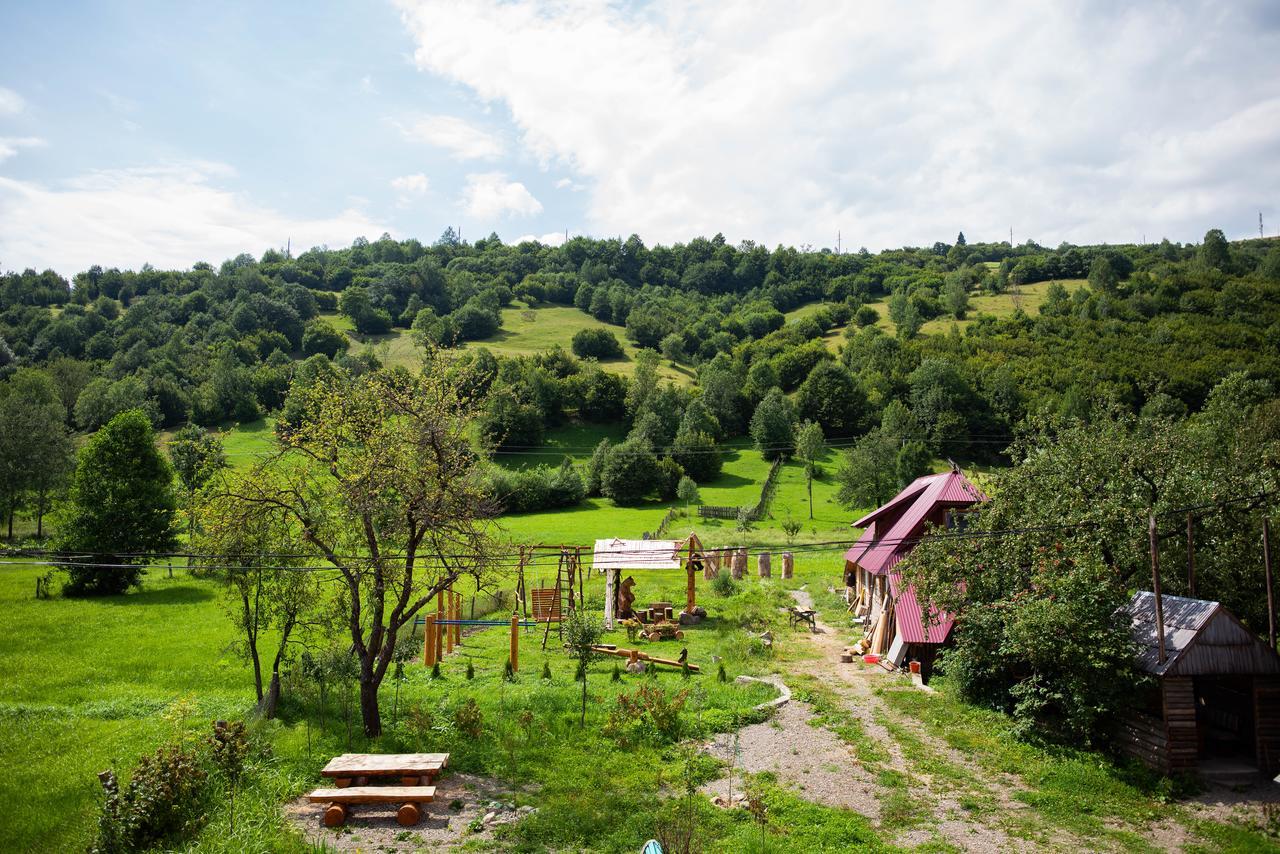 Hotel Syniy Vyr Synewyr Exterior foto