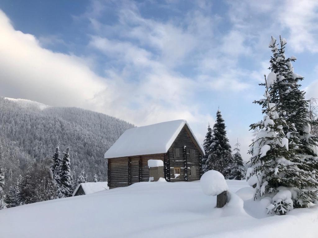 Hotel Syniy Vyr Synewyr Exterior foto